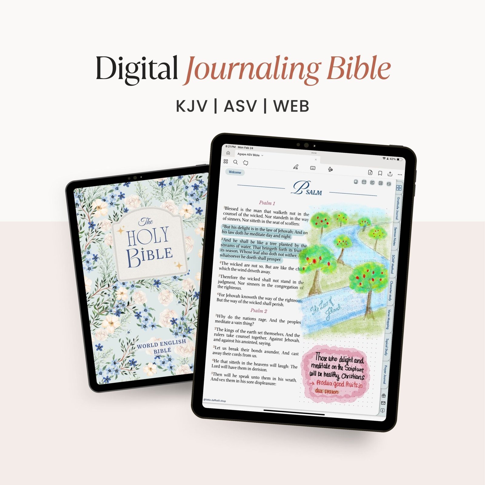 AGAPE Digital Journaling Bible | SKY