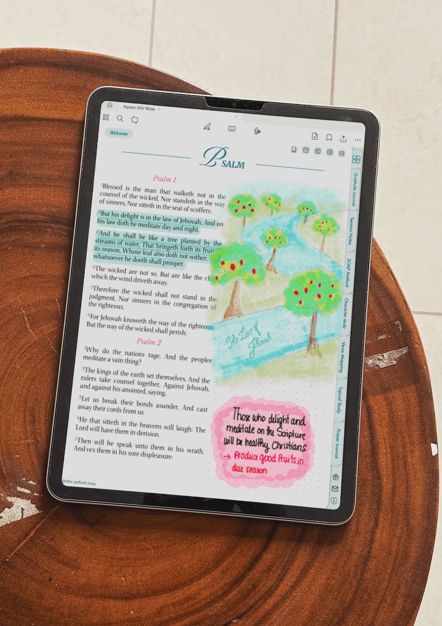 AGAPE (SKY) - Digital Journaling Bible