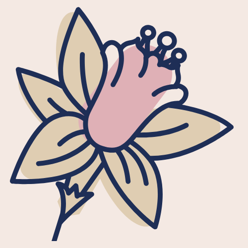 little daffodil shop logo