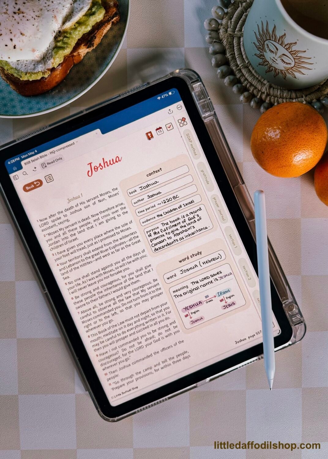 Bible study on an iPad