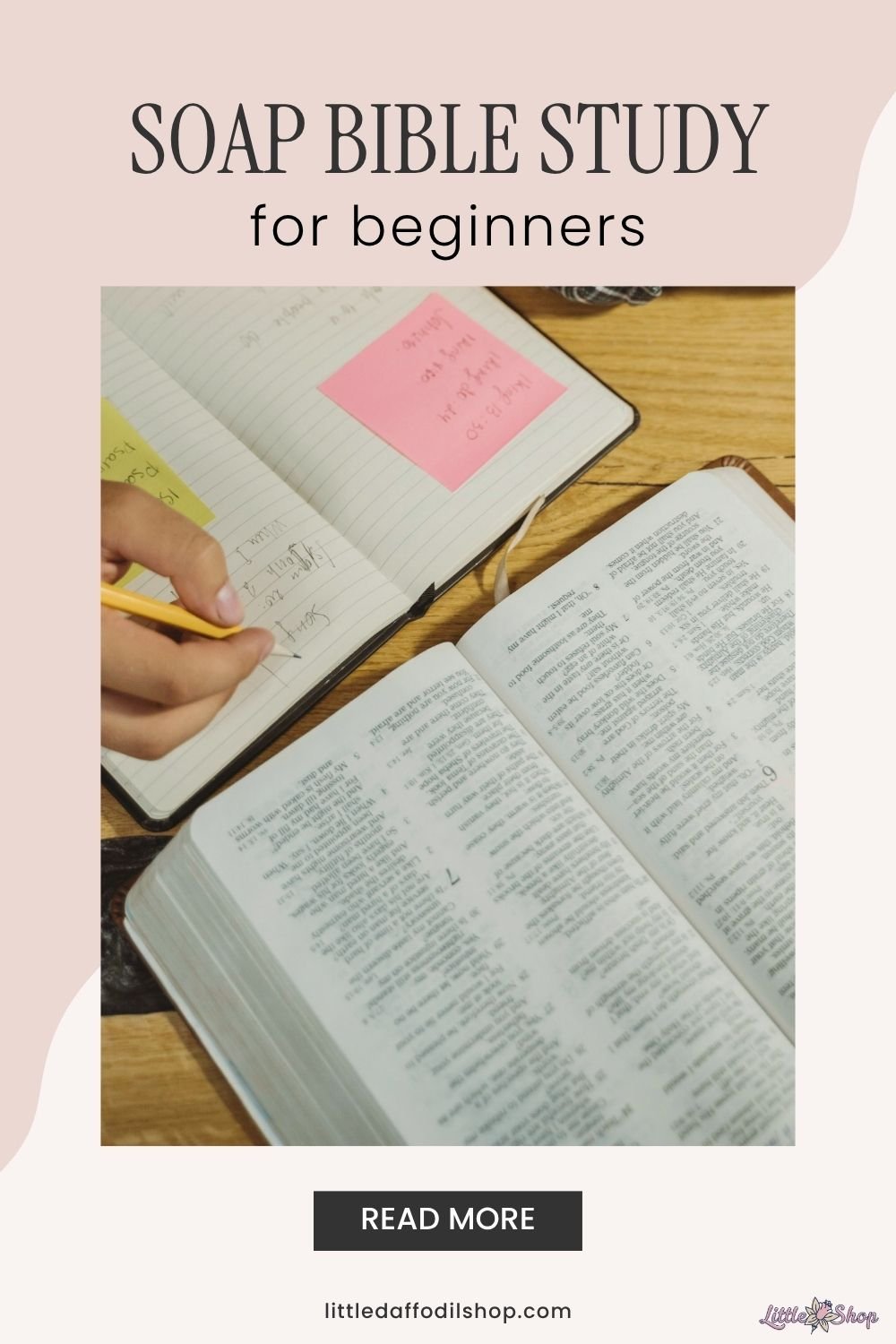 Bible studying